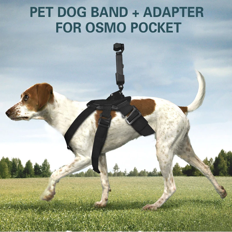6in1 For pet dog band Straps belt Back band for gopro hero osmo action camera dji Pocket / Pocket 2 camera Accessories
6in1 For pet dog band Straps belt Back band for gopro hero osmo action camera dji Pocket / Pocket 2 camera Accessories