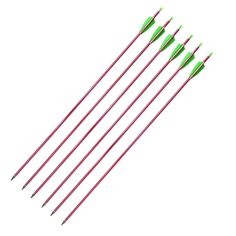 10pcs 31.5inch Aluminum Arrows Spine 500 Arrow Shaft Replaceable Broadheads Target Tips For Hunting Shooting Archery Accessories
10pcs 31.5inch Aluminum Arrows Spine 500 Arrow Shaft Replaceable Broadheads Target Tips For Hunting Shooting Archery Accessories