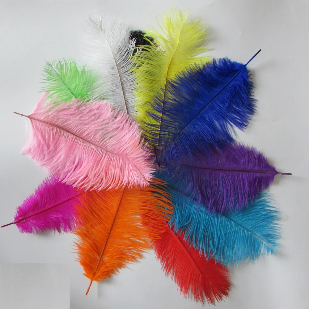 Wholesale Hard rod natural 20pcs/lot 12-14''30-35cm Multicolor for choose ostrich feather Wedding Birthday Christmas Decorations
Wholesale Hard rod natural 20pcs/lot 12-14''30-35cm Multicolor for choose ostrich feather Wedding Birthday Christmas Decorations