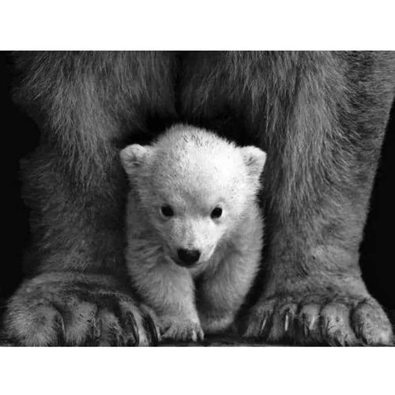 Diy Diamond Painting World Full Drill Square Round Paint By Diamonds Bright Rhinestones Like Mother Home Decor
Diy Diamond Painting World Full Drill Square Round Paint By Diamonds Bright Rhinestones Like Mother Home Decor