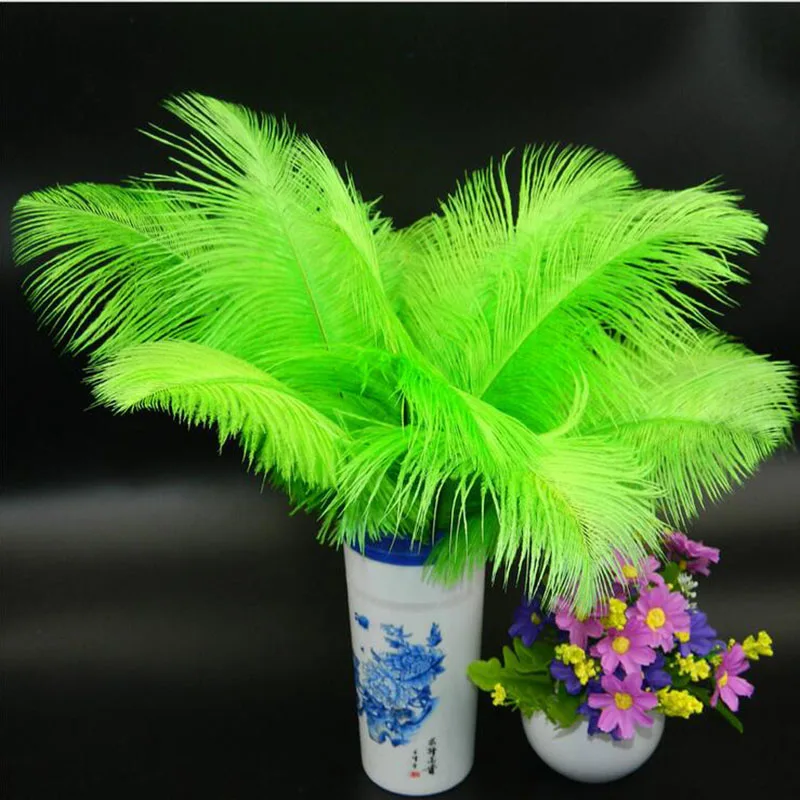 50Pcs natural green ostrich feather 35-40cm/14-16 inches high quality plume wedding decoration feathers
50Pcs natural green ostrich feather 35-40cm/14-16 inches high quality plume wedding decoration feathers
