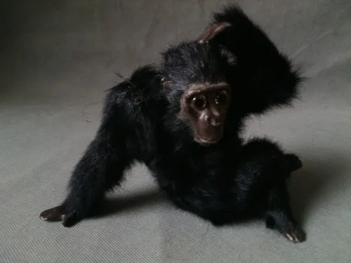 simulaiton chimpanzee toy polyethylene&furs chimpanzee model gift about 20cmx16cmx15cm
simulaiton chimpanzee toy polyethylene&furs chimpanzee model gift about 20cmx16cmx15cm