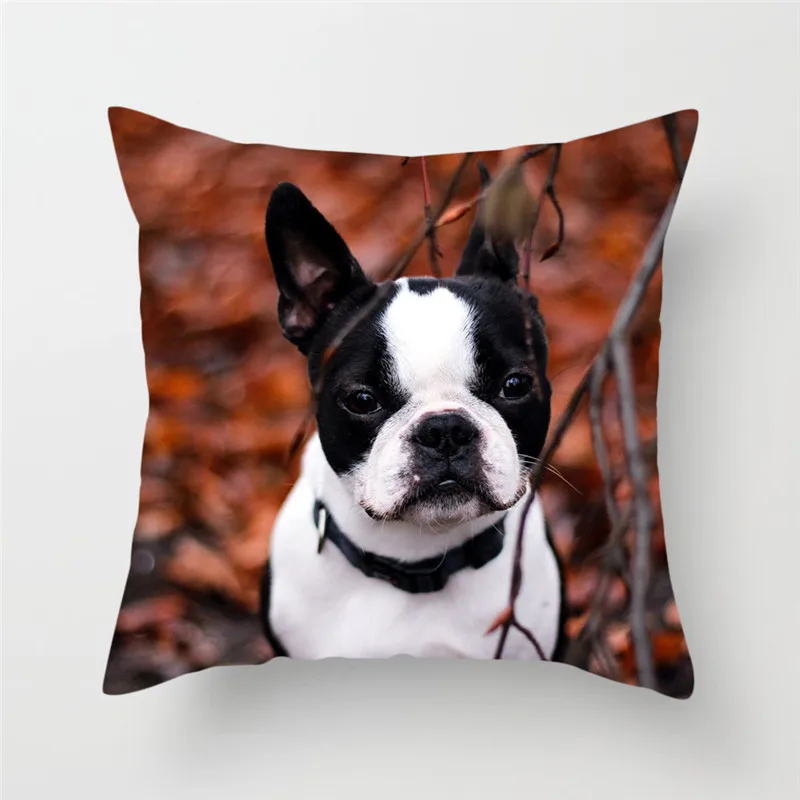 Fuwatacchi Cute Poppy Home Decor Cushion Cover Animal Dog Print Pillow Cover Chair Sofa French Bulldog Decorative Pillow Case
Fuwatacchi Cute Poppy Home Decor Cushion Cover Animal Dog Print Pillow Cover Chair Sofa French Bulldog Decorative Pillow Case