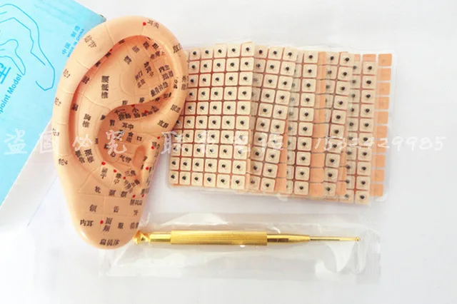 ear press seed Auricular Vaccaria seed with ear probe ear model acupuncture needle ear bead slimming body free shipping
ear press seed Auricular Vaccaria seed with ear probe ear model acupuncture needle ear bead slimming body free shipping
