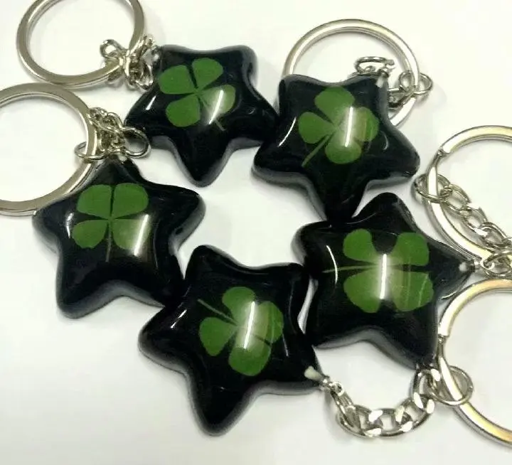15 pcs News--real four leaf clover black star shape keychain best sale jewelry YQTDMY
15 pcs News--real four leaf clover black star shape keychain best sale jewelry YQTDMY