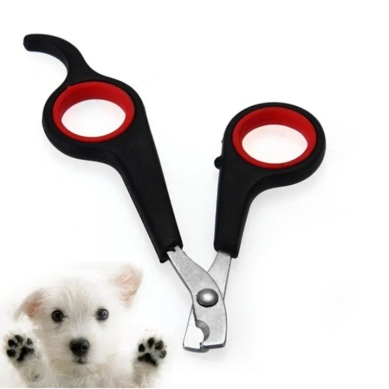 Pet Nail Clippers Stainless Steel Material Pet Nail Scissor Claw Grooming Scissors Clippers Keep Pet Nails Smooth and Not Hurt
Pet Nail Clippers Stainless Steel Material Pet Nail Scissor Claw Grooming Scissors Clippers Keep Pet Nails Smooth and Not Hurt