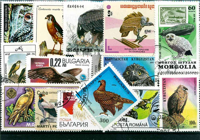

50 шт./партия, почтовые марки в виде птицы из добычи