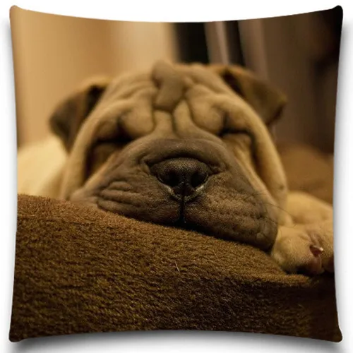Crawling of the SharPei and bulldog Decorative Throw Pillow Case in Square Size for Home Sofa Car
Crawling of the SharPei and bulldog Decorative Throw Pillow Case in Square Size for Home Sofa Car