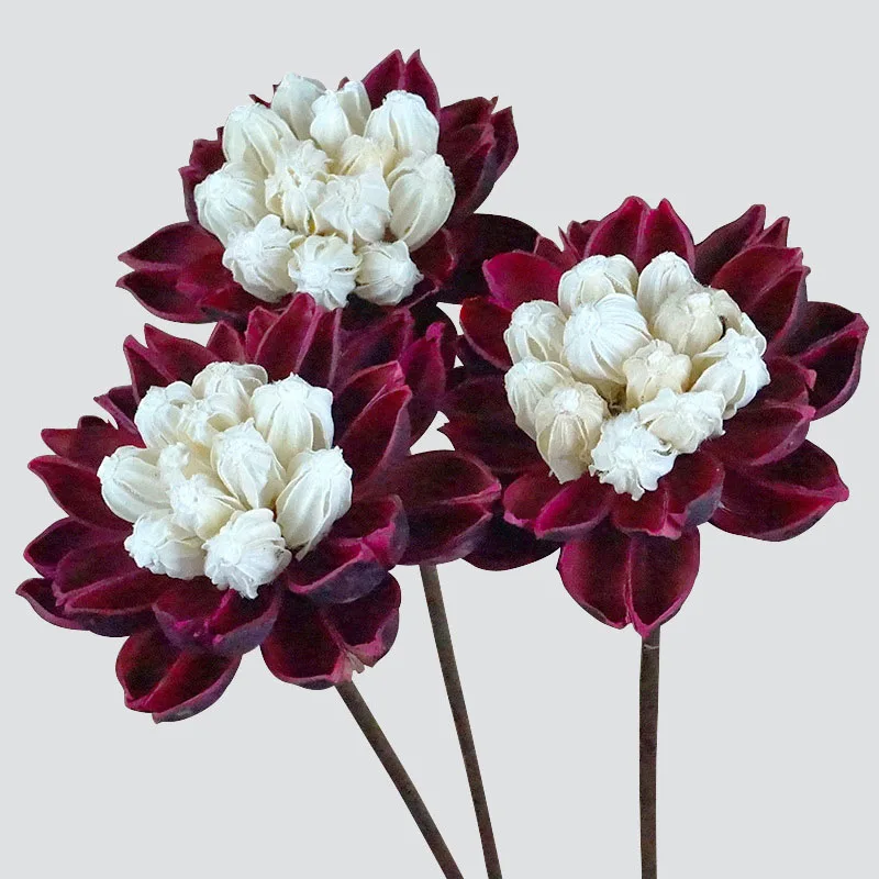 12cm/2pcs,Head Natural Handmade Flower,Decorative Artificial Flower Branch for Ramadan Decoration, Wedding Home Decor ,DIY favor
12cm/2pcs,Head Natural Handmade Flower,Decorative Artificial Flower Branch for Ramadan Decoration, Wedding Home Decor ,DIY favor