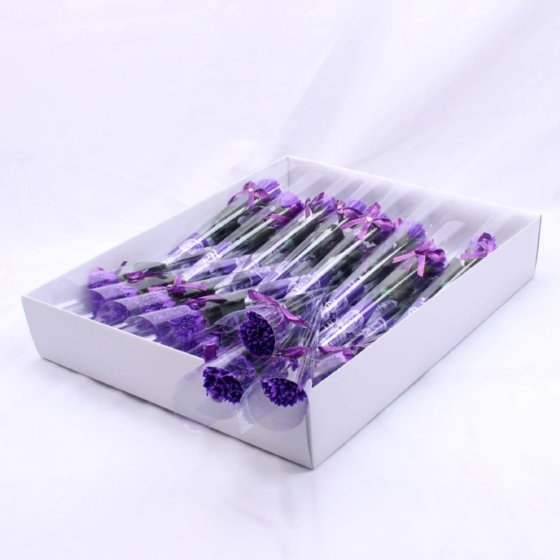 32PCS Beautiful Simulation Carnation Eternal Soap Flower Gift Mother's Day Gift Valentine's Day Wedding Gift
32PCS Beautiful Simulation Carnation Eternal Soap Flower Gift Mother's Day Gift Valentine's Day Wedding Gift