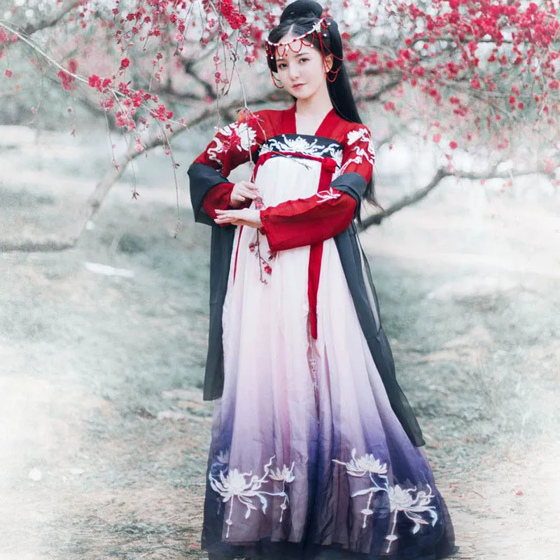 Hanfu Women Costume Tang Dynasty Traditional Ancient Chinese Folk Dance Fairy Skirt Sleeved Length Performance Clothing
Hanfu Women Costume Tang Dynasty Traditional Ancient Chinese Folk Dance Fairy Skirt Sleeved Length Performance Clothing