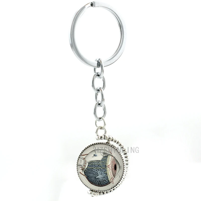 Anatomical Eye Ball keychain vintage Human Eye Anatomy image double sides key chain ring holder school doctor men jewelry T238
Anatomical Eye Ball keychain vintage Human Eye Anatomy image double sides key chain ring holder school doctor men jewelry T238