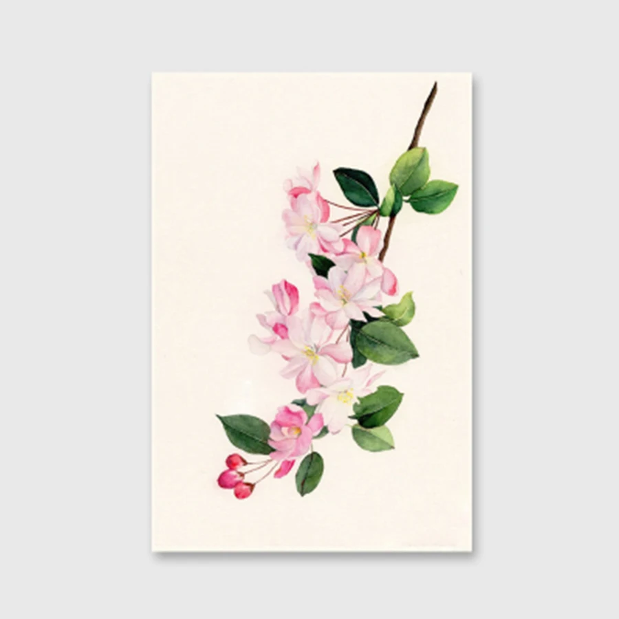 Chinese rose, plum blossom, peach Daisy, Calla Lily, DIY digital oil painting, self painted decorative painting two
Chinese rose, plum blossom, peach Daisy, Calla Lily, DIY digital oil painting, self painted decorative painting two