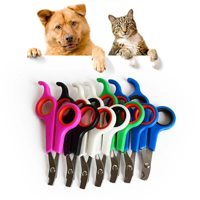 Pet product Random color small dogs with pet nail scissors Cats use nail clippers Pet Cat Tools Supplies AA
Pet product Random color small dogs with pet nail scissors Cats use nail clippers Pet Cat Tools Supplies AA