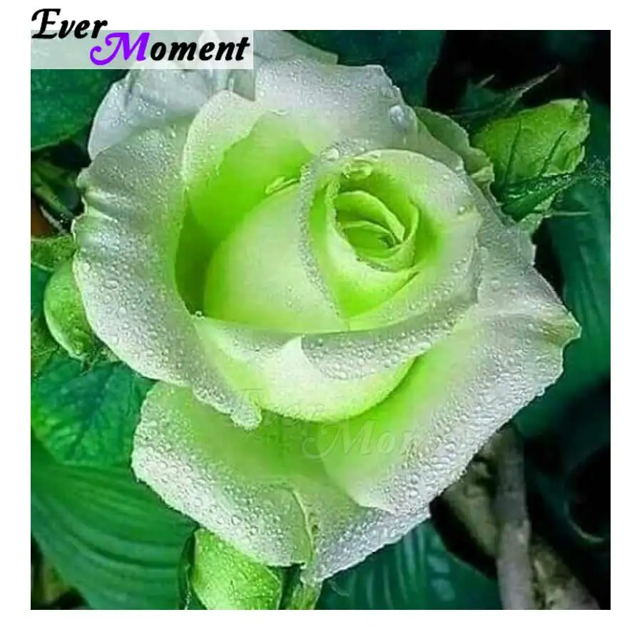 Ever Moment Алмазная картина цветок полный квадрат дрель Стразы вышивка украшение