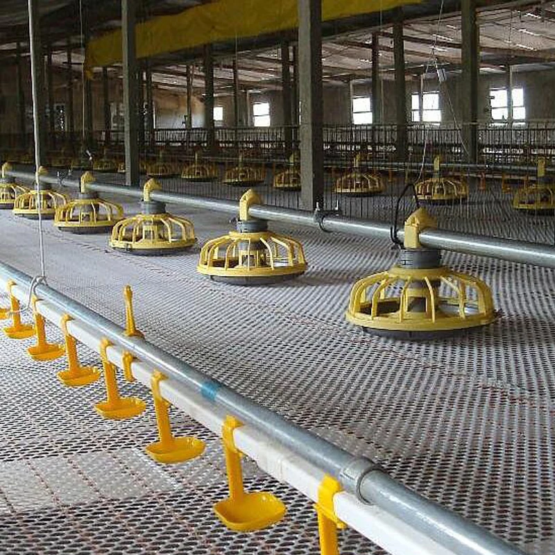 1Pcs Chicken Automatic Material Feeding Bucket Poultry House Farming Assembly Line Automation Engineering Plastic Feed Bowl Tray
1Pcs Chicken Automatic Material Feeding Bucket Poultry House Farming Assembly Line Automation Engineering Plastic Feed Bowl Tray