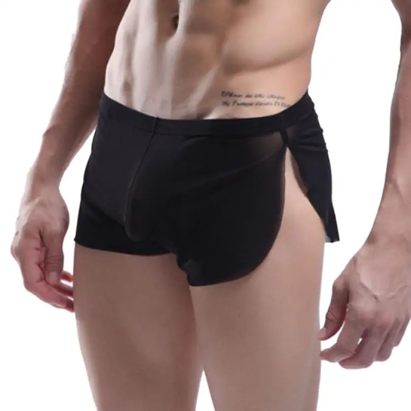 Men s sheer bikini underwear