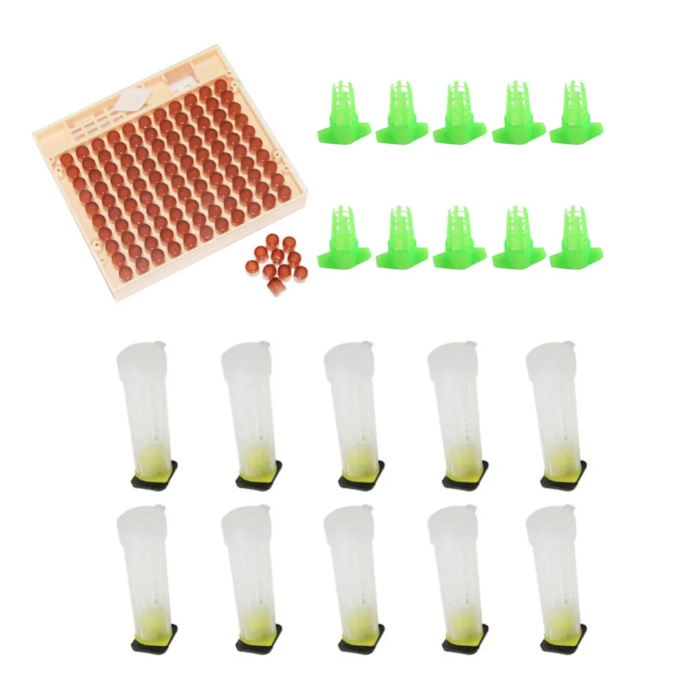 Bee Queen Rearing System kit Bee queen cage Cell Cup Beekeeping Equipment Farm Beekeeper Bee Tool 1 Set
Bee Queen Rearing System kit Bee queen cage Cell Cup Beekeeping Equipment Farm Beekeeper Bee Tool 1 Set
