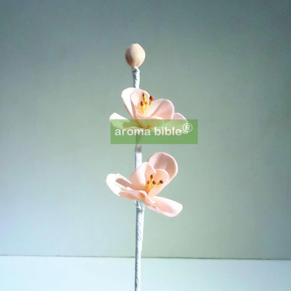 1000 pcs /lot Handmade sola wood flowers for fragrance diffuser and home decor with 12cm Rope or rattan reed sticks Top quality
1000 pcs /lot Handmade sola wood flowers for fragrance diffuser and home decor with 12cm Rope or rattan reed sticks Top quality