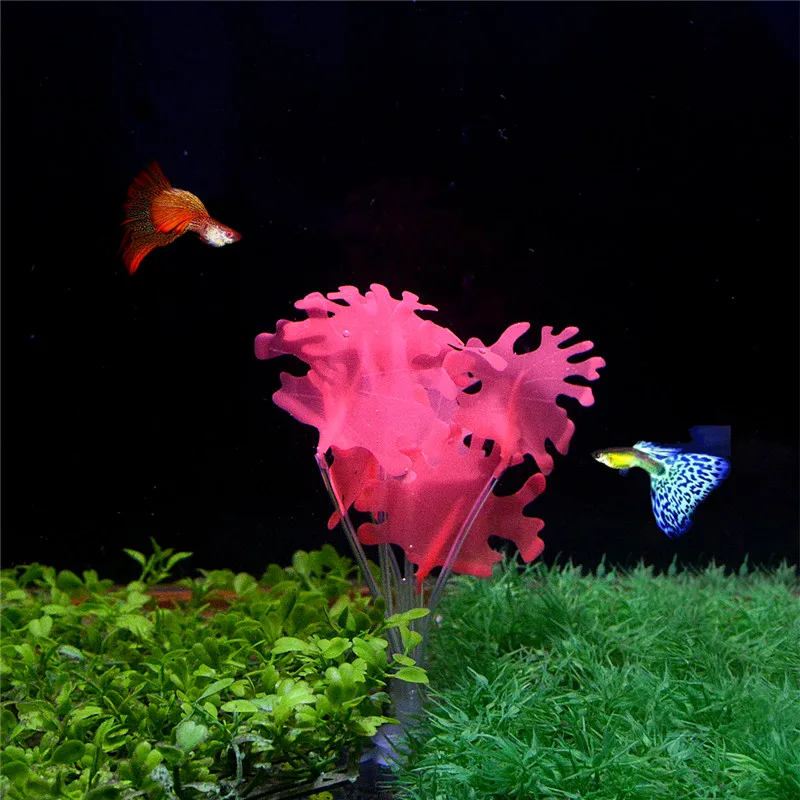 Saim Glowing Corals Plastic Plants 3pcs Aquarium Corals Fishes Decorative Plants Ornaments for Aquarium Fish Tank Landscaping
Saim Glowing Corals Plastic Plants 3pcs Aquarium Corals Fishes Decorative Plants Ornaments for Aquarium Fish Tank Landscaping