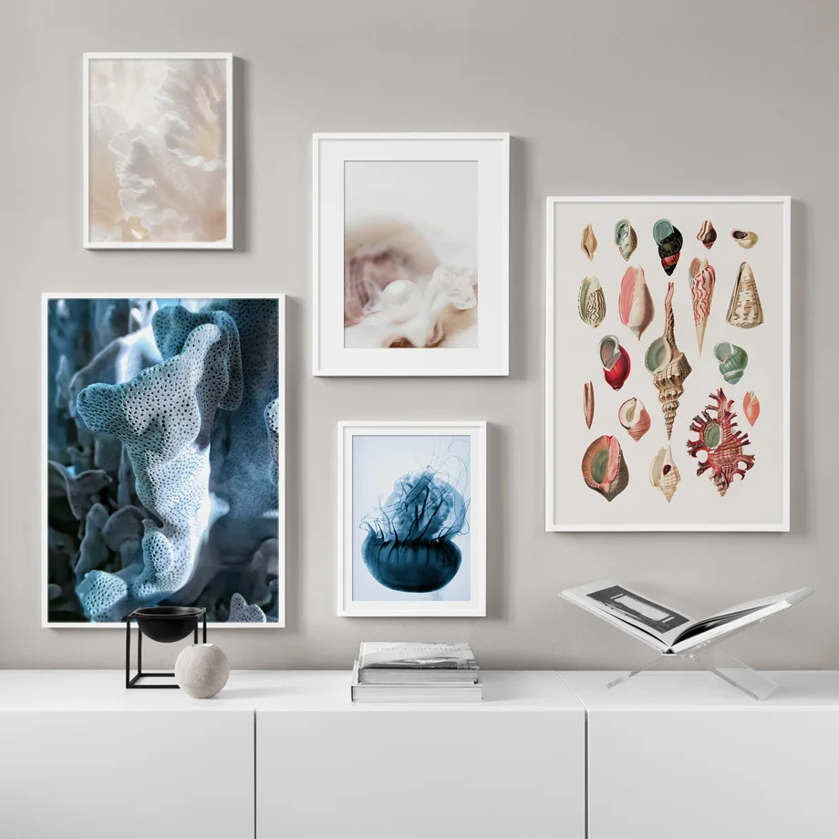 Wall Art Canvas Painting Conch Coral Pearl Jellyfish Marine Life Nordic Posters And Prints Wall Pictures For Living Room Decor
Wall Art Canvas Painting Conch Coral Pearl Jellyfish Marine Life Nordic Posters And Prints Wall Pictures For Living Room Decor