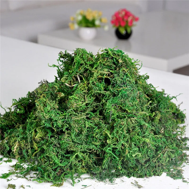 Promotion!!FAKE Artificial Dried Reindeer Moss for Flowers Grass Basket Plant Home Garden Garland Wedding Party DIY Decoration
Promotion!!FAKE Artificial Dried Reindeer Moss for Flowers Grass Basket Plant Home Garden Garland Wedding Party DIY Decoration