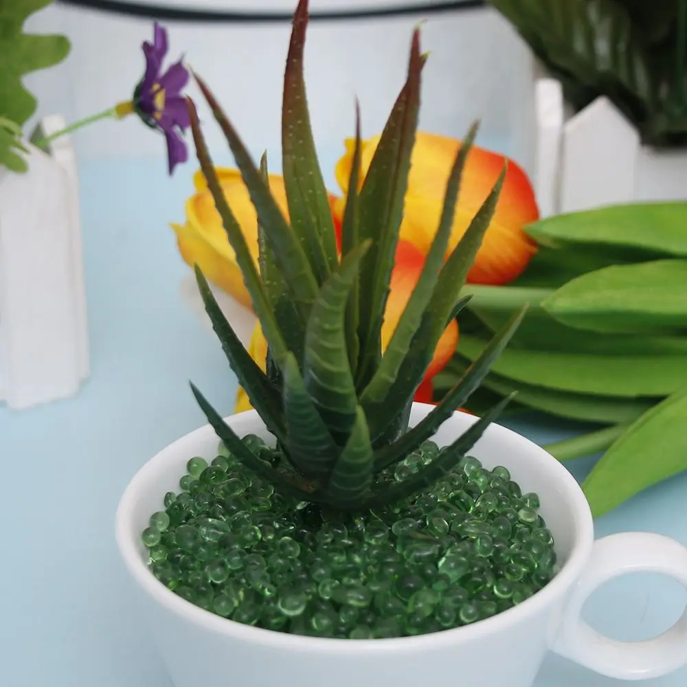 Assorted Realistic Green Faux Artificial Succulent Plants Aloe Foliage Fake Plastic Green Cactus Home Garden Decoration Hot Sale
Assorted Realistic Green Faux Artificial Succulent Plants Aloe Foliage Fake Plastic Green Cactus Home Garden Decoration Hot Sale