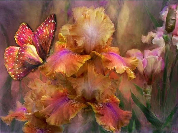2016 Embroidery Russia Flowers Butterly DIY Diamond Paintings Full Mosaic Picture Pattern Cross Stitch Rhinestone
2016 Embroidery Russia Flowers Butterly DIY Diamond Paintings Full Mosaic Picture Pattern Cross Stitch Rhinestone