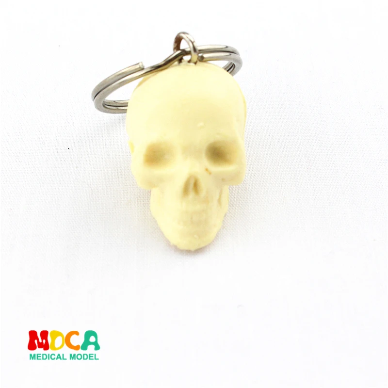 human.skull pin ornament gift pendant key buckle human.organ anatomy medical teaching toy YSK006
human.skull pin ornament gift pendant key buckle human.organ anatomy medical teaching toy YSK006