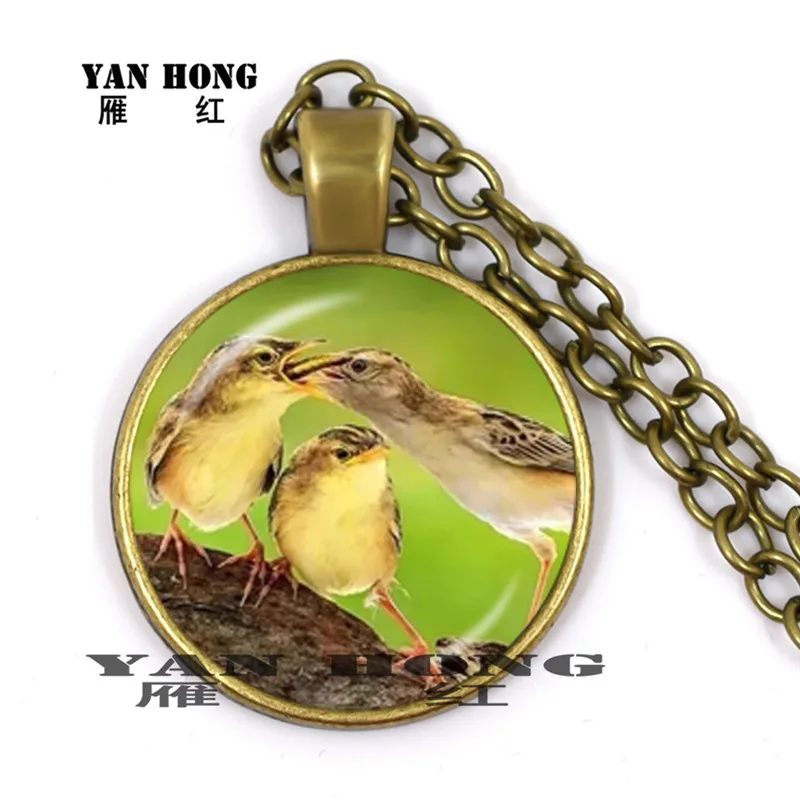 Nature's miraculous species convey the call of love and also learn to be grateful for the birthday gifts given to children.
Nature's miraculous species convey the call of love and also learn to be grateful for the birthday gifts given to children.