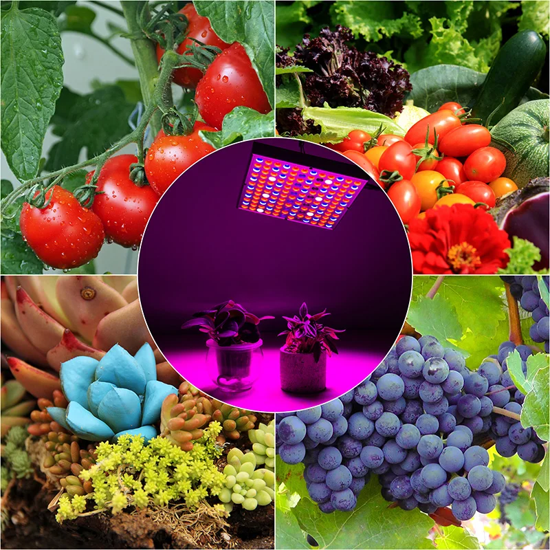 LED Grow Light Full Spectrum 25W 45W 50W AC85-265V Plants Growth Lighting UV IR Panel lamps For Greenhouse Indoor Grow Seeding
LED Grow Light Full Spectrum 25W 45W 50W AC85-265V Plants Growth Lighting UV IR Panel lamps For Greenhouse Indoor Grow Seeding