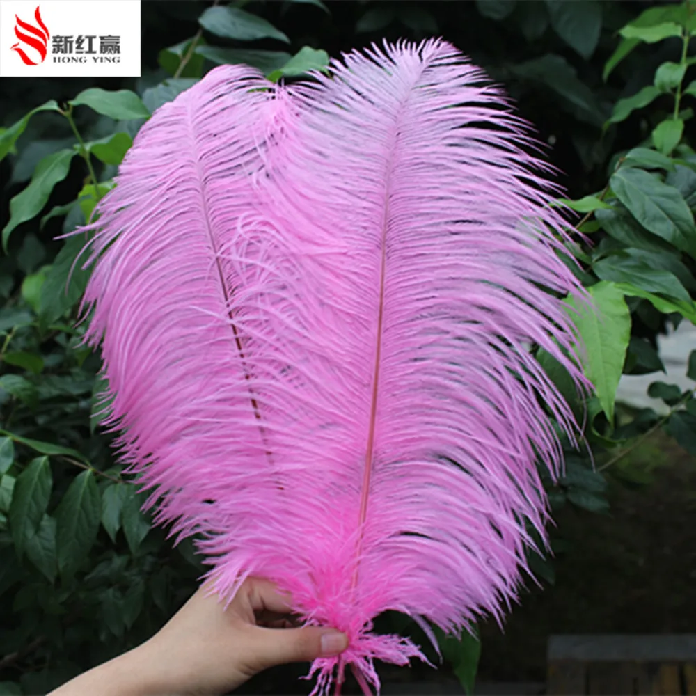 10 PCS pink ostrich feather 40-45 cm / 16 to 18 inches ostrich plume pink feather plume wedding decoration
10 PCS pink ostrich feather 40-45 cm / 16 to 18 inches ostrich plume pink feather plume wedding decoration