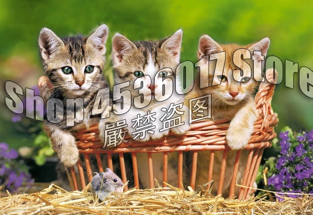5D алмазная живопись «сделай сам», полная Алмазная мозаика, алмазная вышивка с кошками, стразы, три милых котят, искусство, домашний декор, по...
5D алмазная живопись «сделай сам», полная Алмазная мозаика, алмазная вышивка с кошками, стразы, три милых котят, искусство, домашний декор, по...