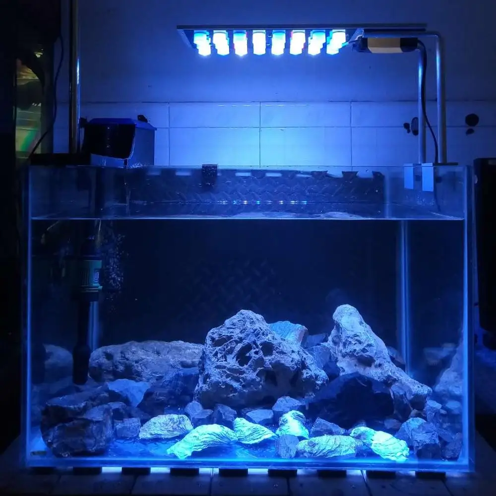 LED Aquarium lighting coral light plant growth lamp DIY handmade buld Vertical lighting Custom color
LED Aquarium lighting coral light plant growth lamp DIY handmade buld Vertical lighting Custom color