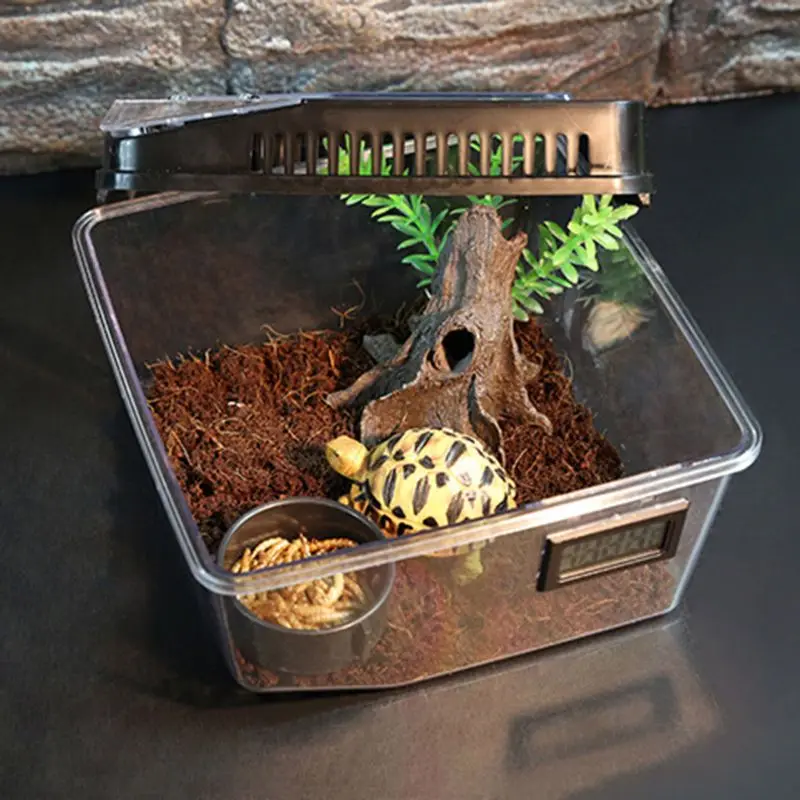 Plastic Container Reptile Feeding Box Spider Scorpion Insect Terrarium Breeding Box
Plastic Container Reptile Feeding Box Spider Scorpion Insect Terrarium Breeding Box