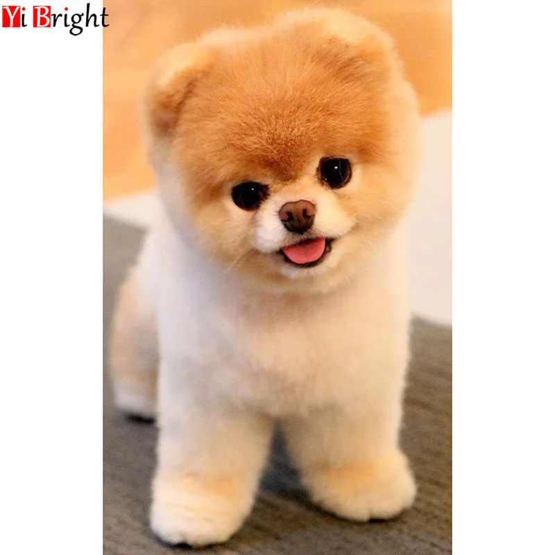 Diamond Painting Cross Stitch Animals Pomeranian Dog Needlework 5D Diy Diamond Embroidery Crafts Mosaic Home Decor Picture XY1
Diamond Painting Cross Stitch Animals Pomeranian Dog Needlework 5D Diy Diamond Embroidery Crafts Mosaic Home Decor Picture XY1