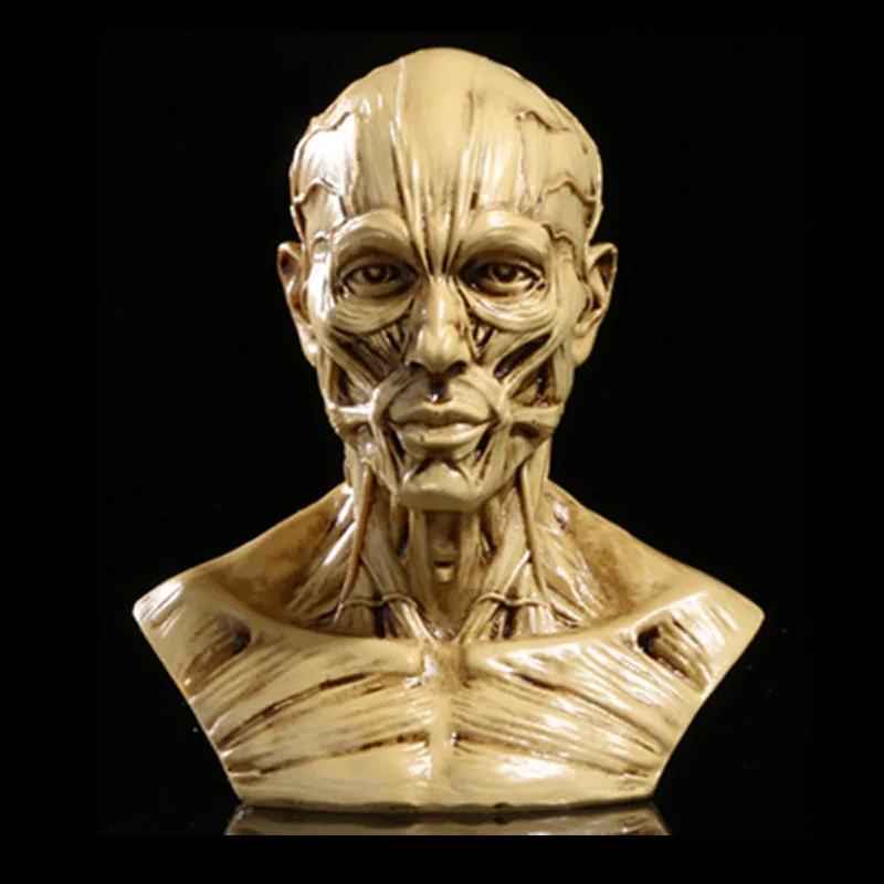 MRZOOT Resin Craft Art Painting Statues For Model Replica Decoration Skull Home Accessories Medical
MRZOOT Resin Craft Art Painting Statues For Model Replica Decoration Skull Home Accessories Medical