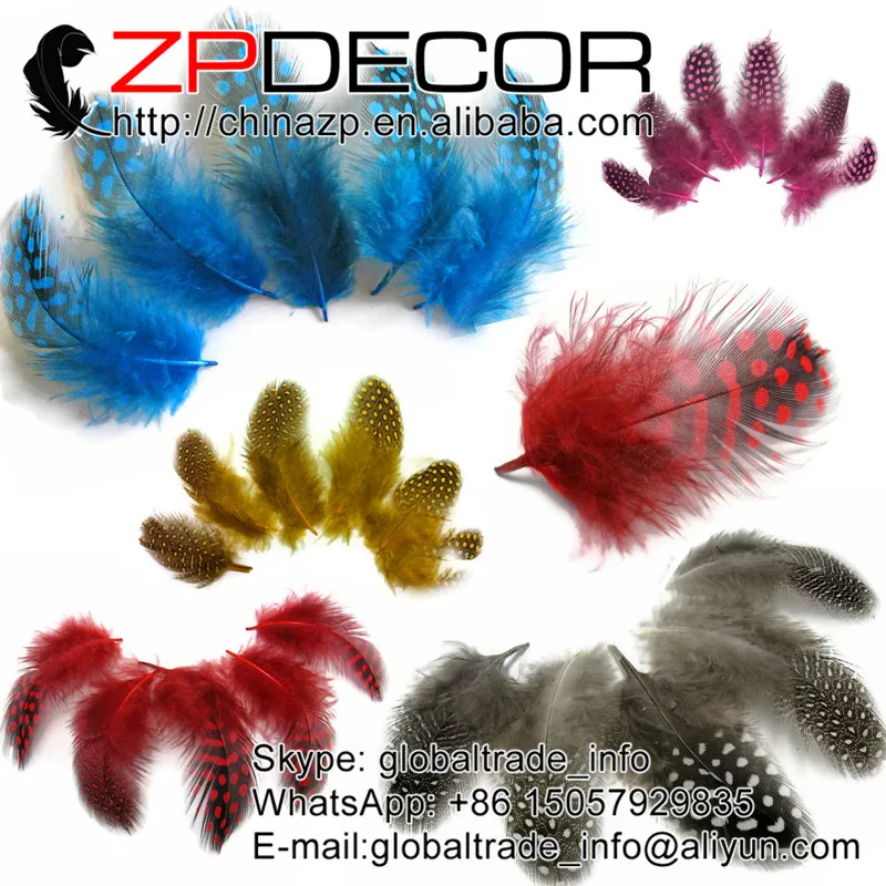 Leading Supplier ZPDECOR Wholesale 5000pcs/lot High Quality Mix Color Guinea Hen Plumage Feathers
Leading Supplier ZPDECOR Wholesale 5000pcs/lot High Quality Mix Color Guinea Hen Plumage Feathers