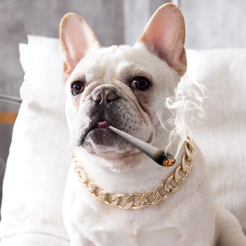 Hot Sale Metal Dogs Choke Chain Collars for Small Medium Dog Teddy Dog Strong Silver Gold Dog Collar Pets Acessorios Dog Chain
Hot Sale Metal Dogs Choke Chain Collars for Small Medium Dog Teddy Dog Strong Silver Gold Dog Collar Pets Acessorios Dog Chain