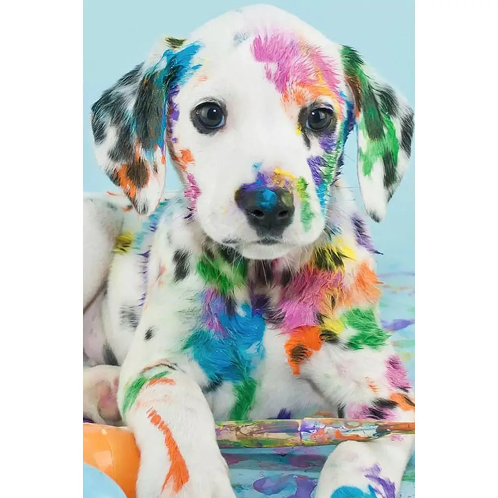 Full Square/round Diamond 5D DIY Diamond Painting Coloured Puppy Embroidery Cross Stitch Rhinestone Mosaic Home Decor
Full Square/round Diamond 5D DIY Diamond Painting Coloured Puppy Embroidery Cross Stitch Rhinestone Mosaic Home Decor