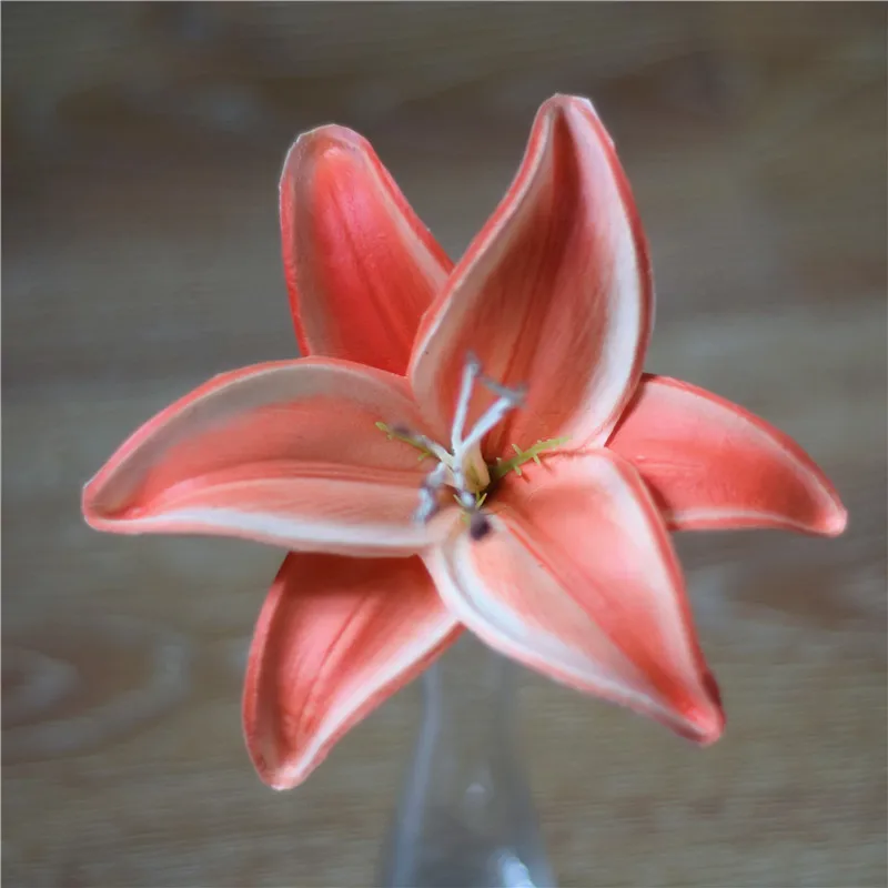 Light Coral Artificial Tiger Lily Heads Wedding Natural Real Touch Flowers Flower heads for cake decoration and wedding bouquets
Light Coral Artificial Tiger Lily Heads Wedding Natural Real Touch Flowers Flower heads for cake decoration and wedding bouquets