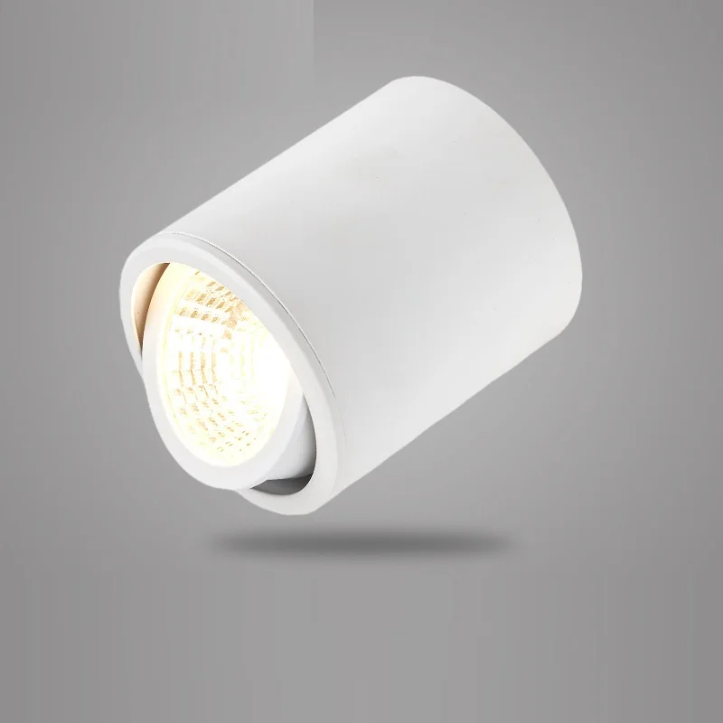 LukLoy Adjustable Angle Spotlight Clothing Store Creative Nordic straight COB Wall Mounted Downlight High Quality Spot Light
LukLoy Adjustable Angle Spotlight Clothing Store Creative Nordic straight COB Wall Mounted Downlight High Quality Spot Light