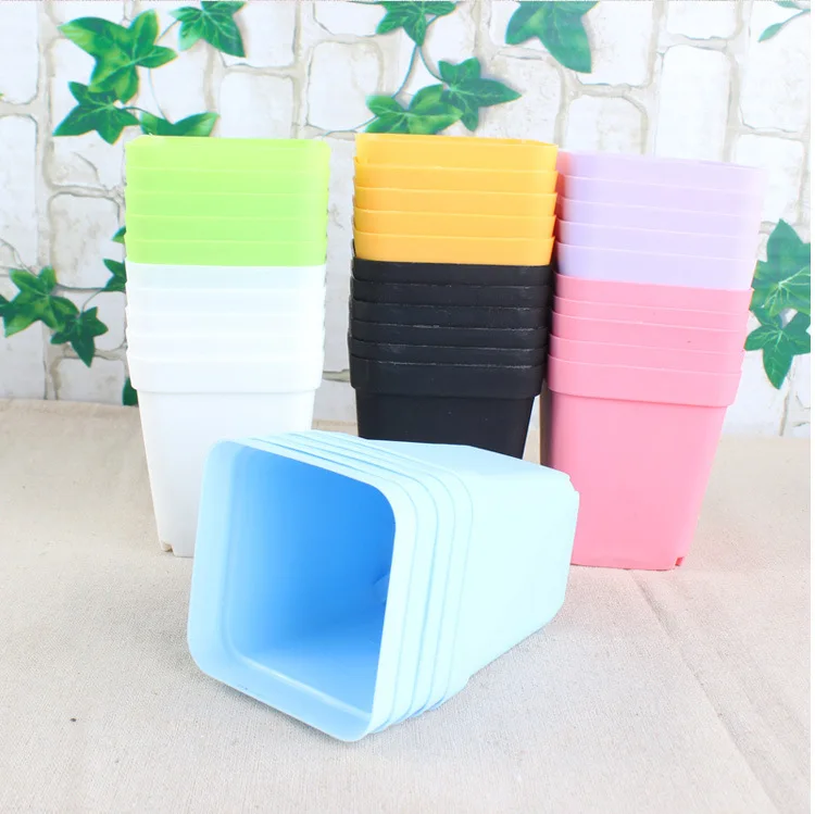 Fashion Succulent Plants Garden Pot Pelvic Floor Leaking Hole Design Square Planters Firm Durable Plastic Flowerpot W9228
Fashion Succulent Plants Garden Pot Pelvic Floor Leaking Hole Design Square Planters Firm Durable Plastic Flowerpot W9228