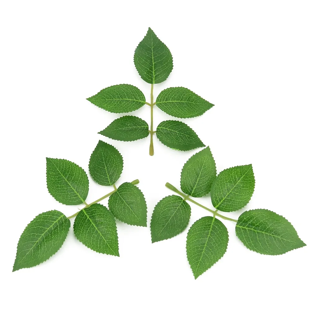 20pcs Cheap Silk Leaf Green Leaves Artificial Flower For Wedding Decoration DIY Wreath Gift Scrapbooking Craft Fake Flower
20pcs Cheap Silk Leaf Green Leaves Artificial Flower For Wedding Decoration DIY Wreath Gift Scrapbooking Craft Fake Flower