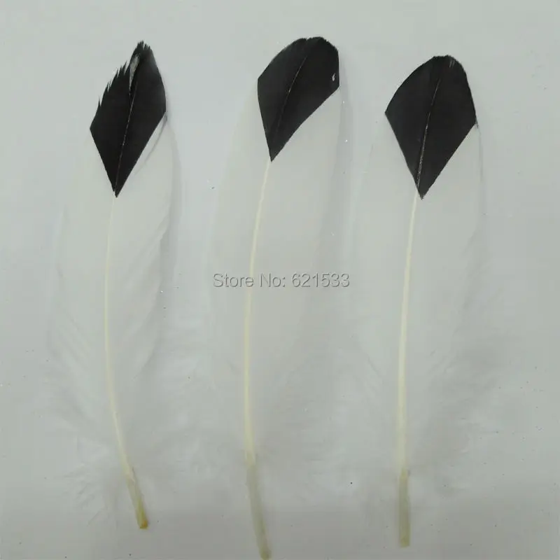 50pcs -Printed - Goose Satinettes Feathers - Black colour Lozenge Printed - Bridal Feathers - Wedding Table Decor
50pcs -Printed - Goose Satinettes Feathers - Black colour Lozenge Printed - Bridal Feathers - Wedding Table Decor