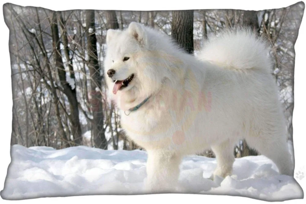 New Custom Dogs Samoyed Pillowcase Zippered Rectangle Pillow Cover Cases Size 45X35cm,40x60cm,45X75cm,50X75cm(Two sides)
New Custom Dogs Samoyed Pillowcase Zippered Rectangle Pillow Cover Cases Size 45X35cm,40x60cm,45X75cm,50X75cm(Two sides)