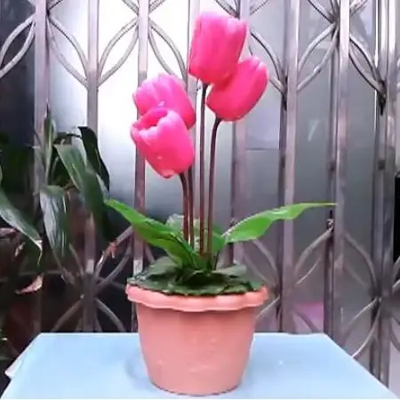 The Living Tulip - Stage Flower магические иллюзии для волшебников, профессиональные Волшебные трюки, DIY Magique Amazing
The Living Tulip - Stage Flower магические иллюзии для волшебников, профессиональные Волшебные трюки, DIY Magique Amazing