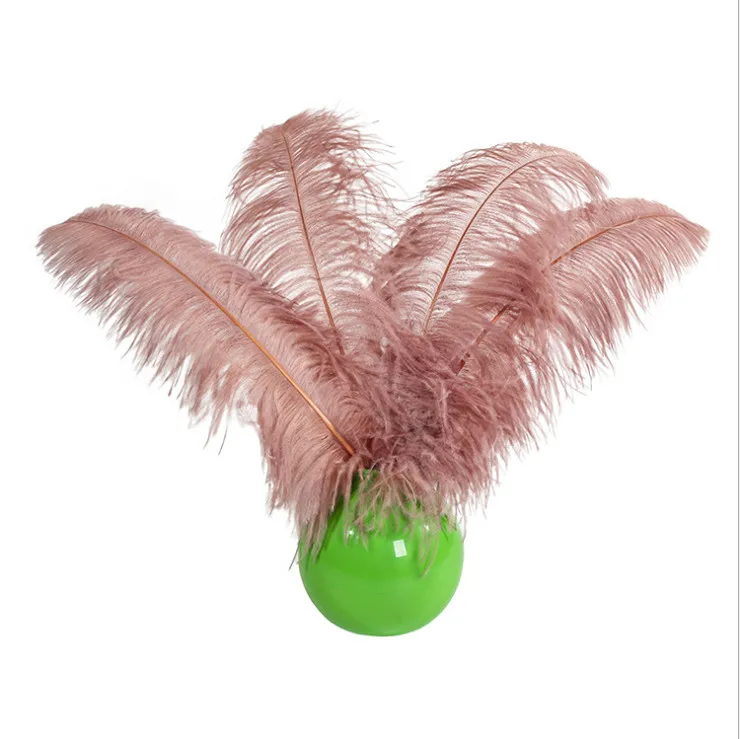 5PCS 24-26 Inches 60-65CM blush pink Ostrich feather Fluffy Wedding Dress DIY Jewelry Decoration decorative Accessories Feather
5PCS 24-26 Inches 60-65CM blush pink Ostrich feather Fluffy Wedding Dress DIY Jewelry Decoration decorative Accessories Feather