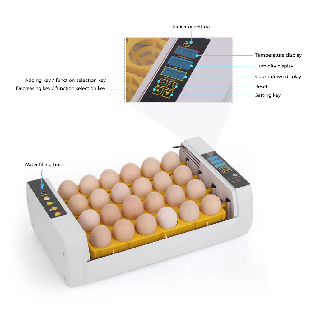 24 Eggs Incubator Intelligent Automatic Egg Incubator Temperature Control Hatcher for Hatching Chicken Duck Bird Quail Poultry
24 Eggs Incubator Intelligent Automatic Egg Incubator Temperature Control Hatcher for Hatching Chicken Duck Bird Quail Poultry