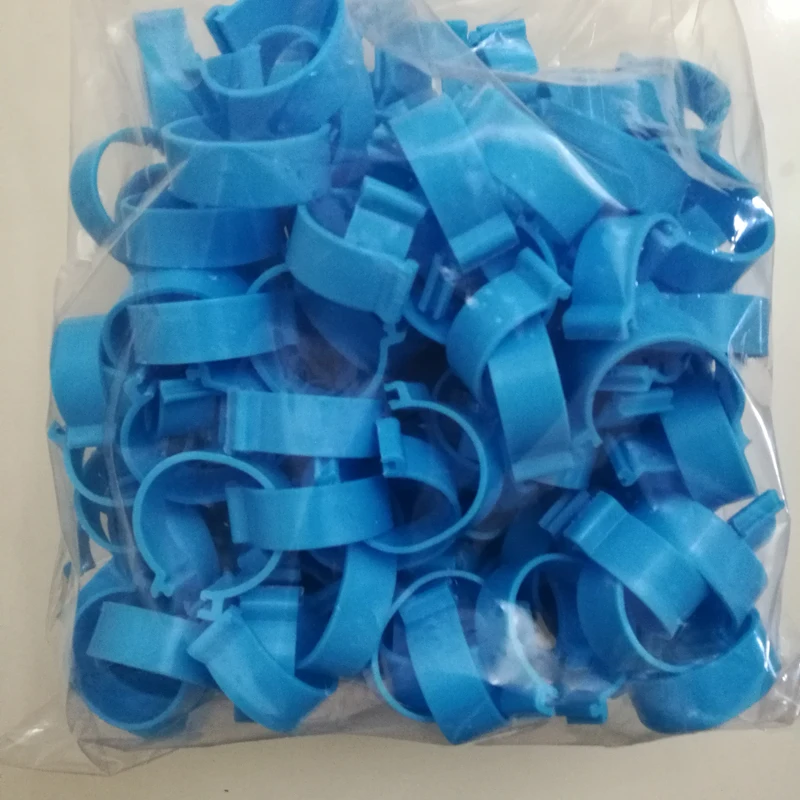 200 pcs Inside diameter 2.5cm Chicken foot ring Duck Goose Bird Quail Poultry Hen Ring Poultry portable device High 1cm
200 pcs Inside diameter 2.5cm Chicken foot ring Duck Goose Bird Quail Poultry Hen Ring Poultry portable device High 1cm
